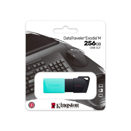 Kingston DataTraveler Exodia M USB flash drive 256GB