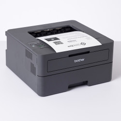 Brother HL-L2460DW Mono Laser Printer